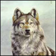 uhesemox's Avatar