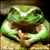 yfenan's Avatar