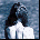 cecyliakosarz's Avatar