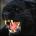dorotapletwa's Avatar