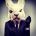 equgec's Avatar